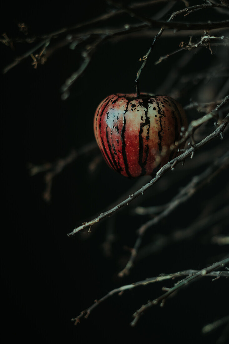Apfel mit schwarzem Inneren, auf einer Trockenrutsche hängend bei Nacht im unscharfen Hintergrund