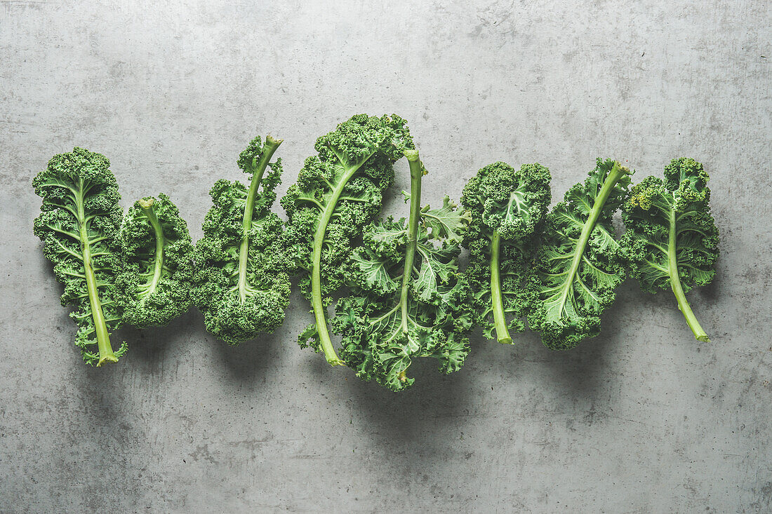 Grüne rohe Grünkohlblätter in einer Reihe auf einem grauen Betontisch in der Küche. Gesundes Wintergemüse der Saison. Kochen mit frischen Zutaten. Moderne Lebensmittel Hintergrund. Ansicht von oben