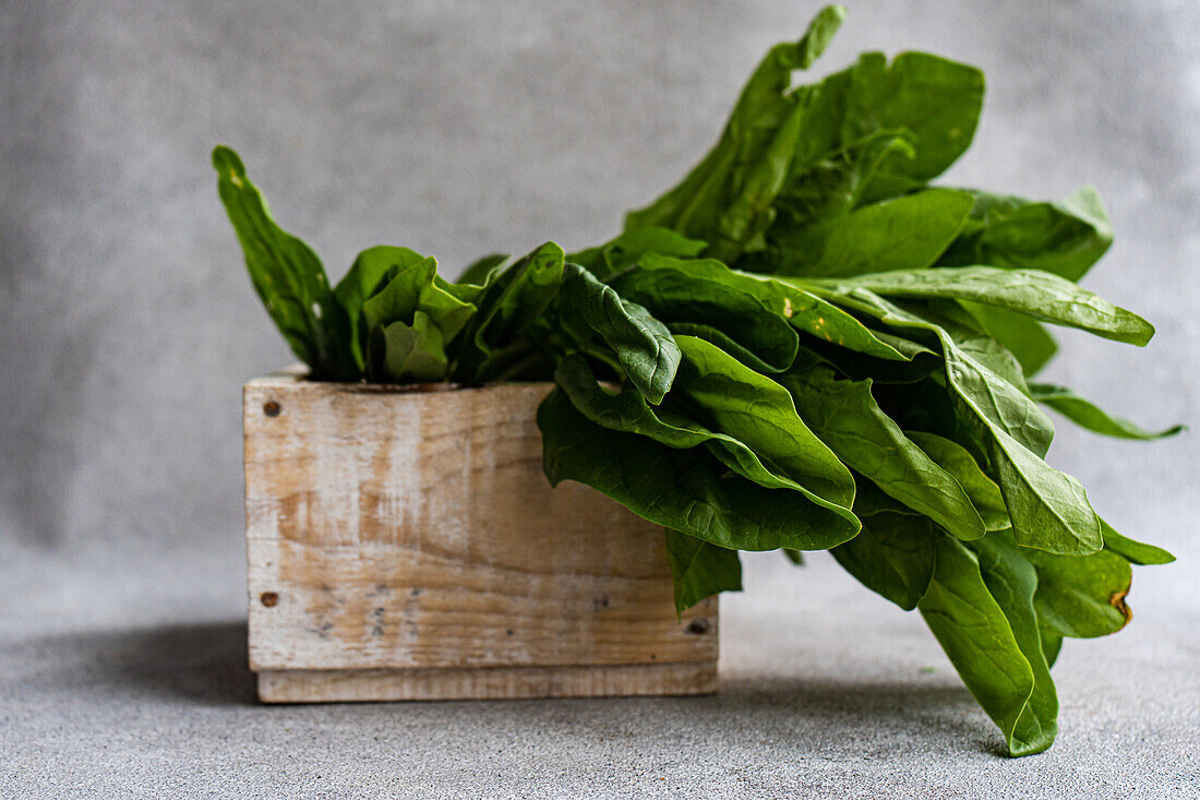 Lush spinach leaves spilling out of a rustic wooden box captured against a neutral background highlighting fresh produce for healthy cooking