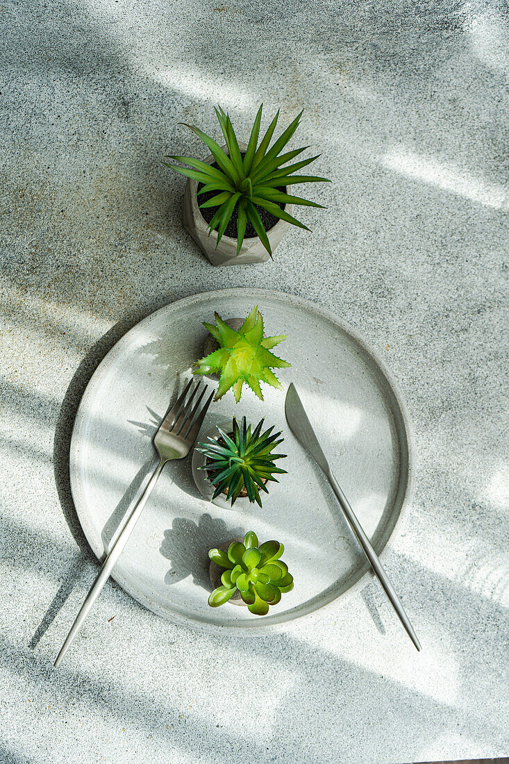 Top view of minimalist table setting with small potted plants on plate with cutlery in sunlight