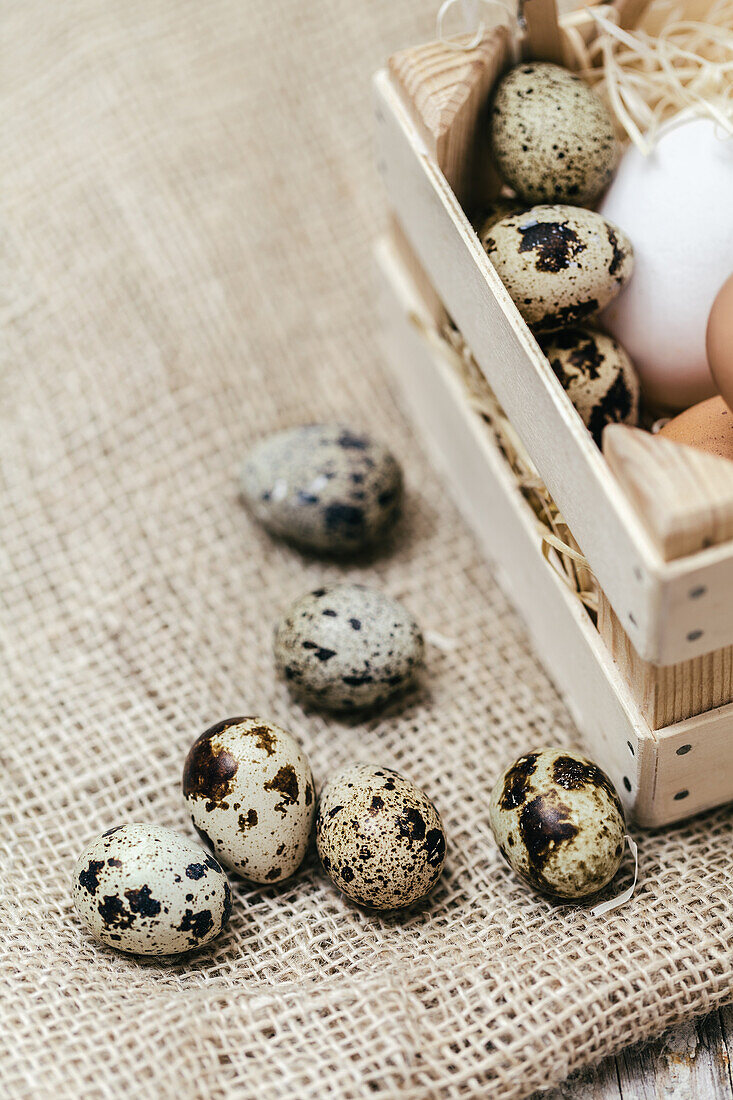 Quail eggs scattered and placed in a small wooden crate on a burlap fabric surface, invoking a rustic and natural vibe.