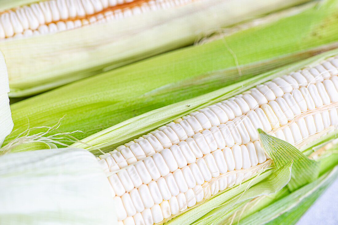 Top view of crop raw ripe corns with green husks placed on blurred gray surface