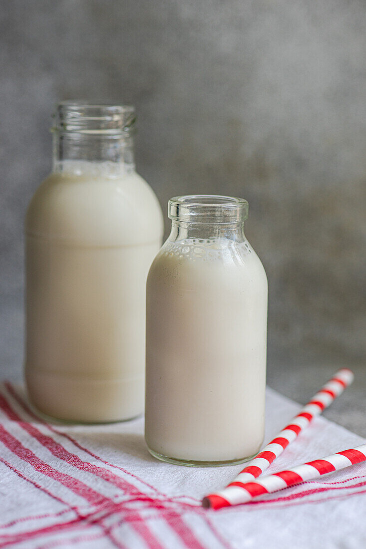 Rohe Kuhmilch in alten Flaschen auf rustikaler Serviette und Trinkhalmen vor grauer Oberfläche