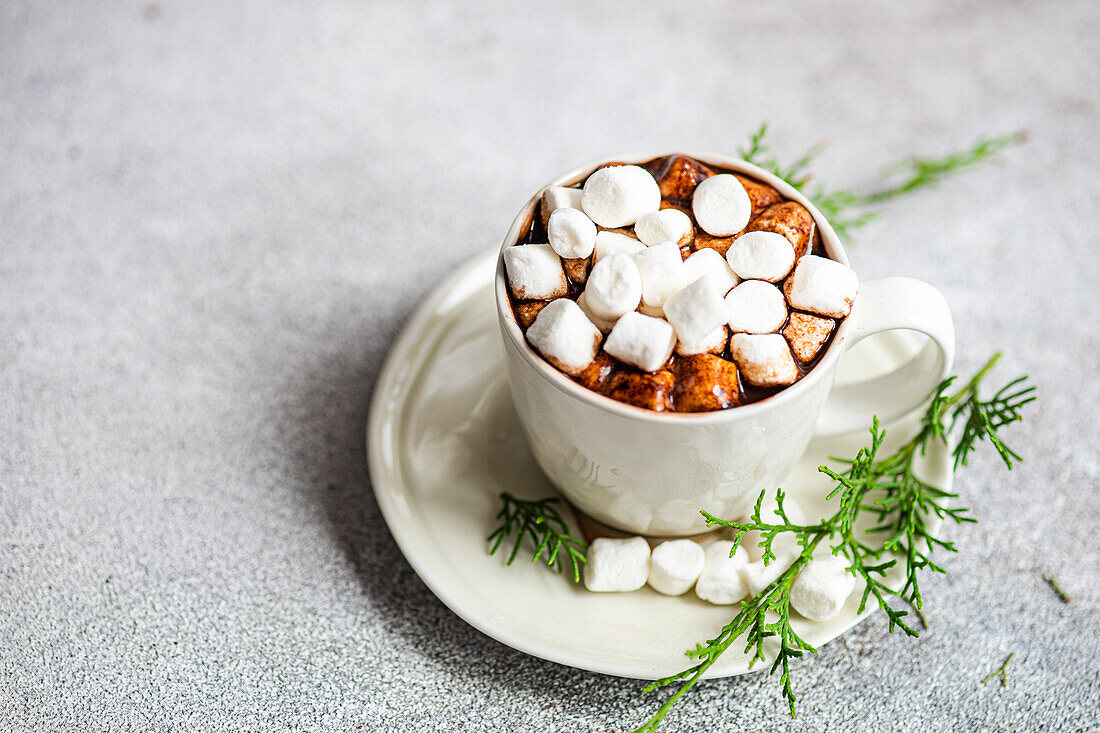 From above of cup of fresh cocoa with marshmallow on plate with green fir twigs placed on gray surface