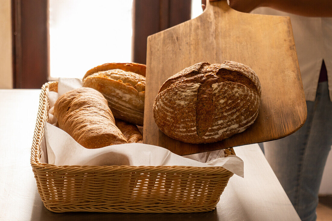 High angle shot of several freshly baked loaves of bread being placed by anonymous baker in a wicker basket with fabric, on a dining table in the countryside