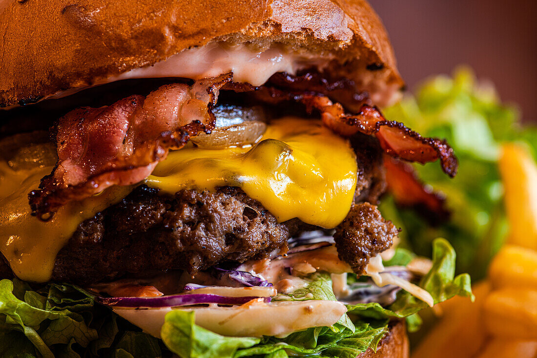 Homemade cheeseburger with cheese and vegetables served with french fries and salad