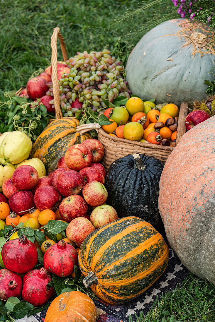 A variety of fresh fruits and pumpkins, including apples and grapes, displayed in a wicker basket on a grassy background.