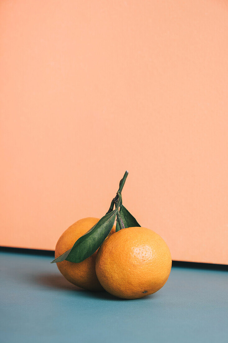 Two ripe oranges with green leaves, set against a contrasting coral and blue backdrop, evoke a fresh and clean aesthetic.