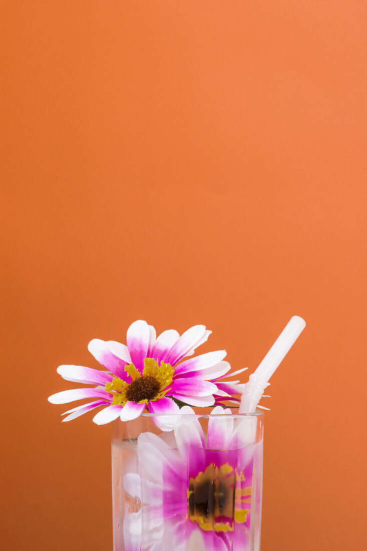 Transparent glass of refreshing cold drink decorated with pink flowers and straw against bright orange wall