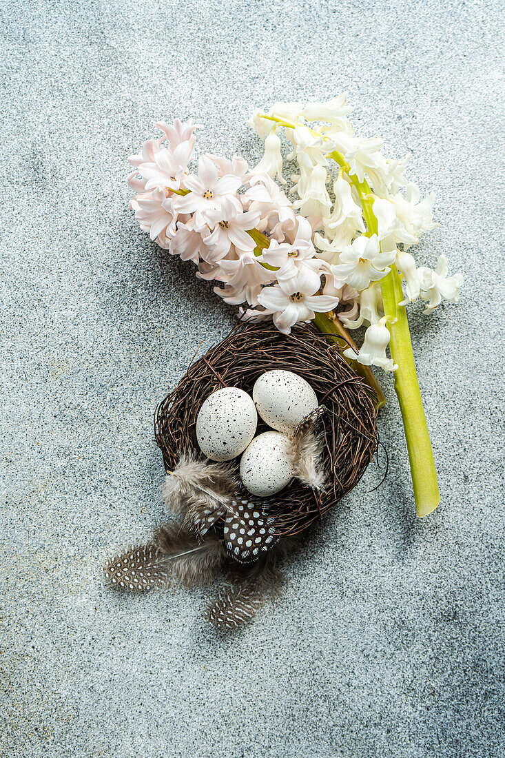 Top view of nest with eggs and hyacinth flowers on concrete background as a Easter card concept