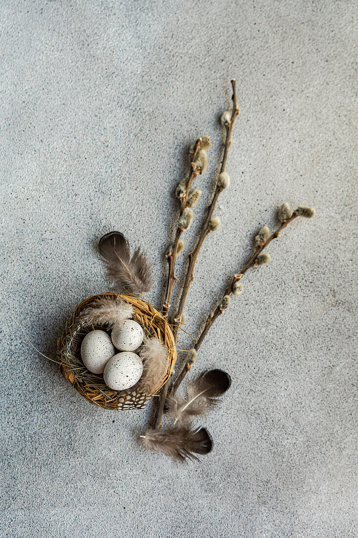 From above of Easter-themed flatlay featuring a nest with speckled eggs, surrounded by soft feathers and pussy willow branches on a textured background