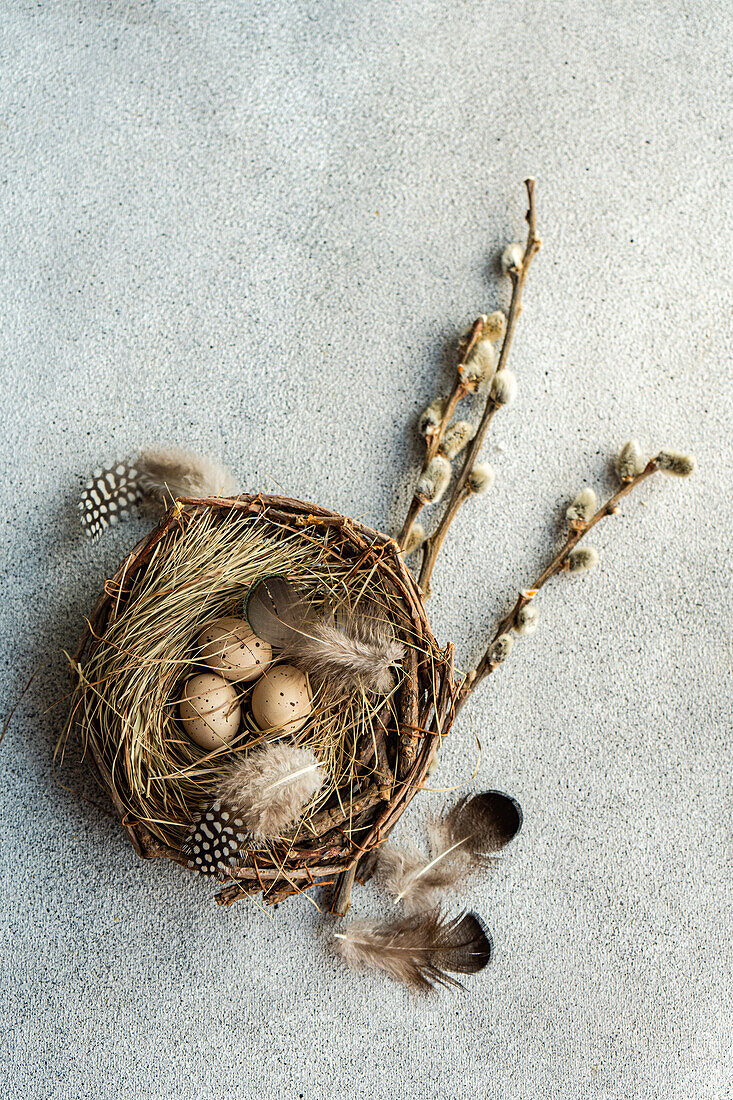 From above of rustic Easter flatlay with a nest of speckled eggs, feathers, and pussy willow branches on a textured grey backdrop