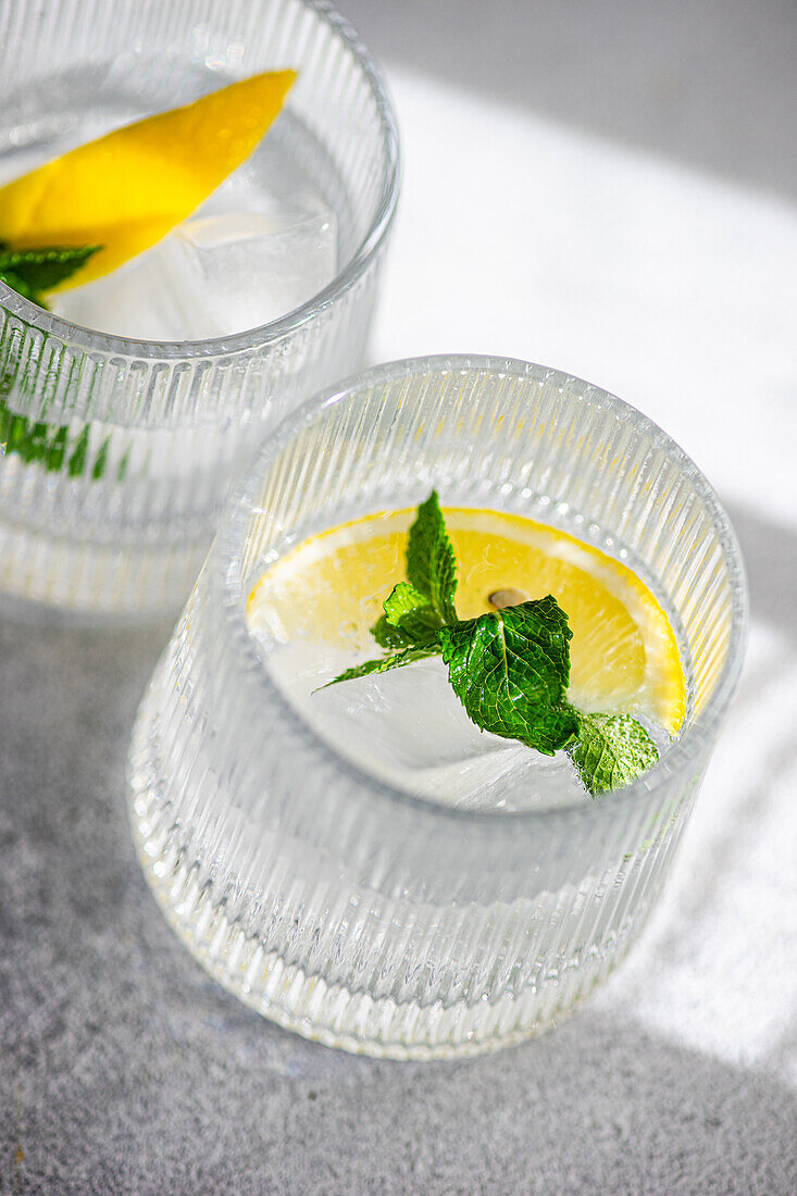 Crystal-clear gin tonic served with a slice of lemon and a sprig of mint, casting soft shadows on a textured surface.