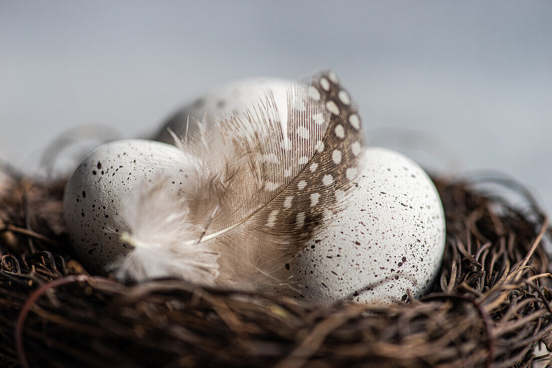 Nest mit Heu und Eiern auf Betonhintergrund als Konzept für eine Osterkarte