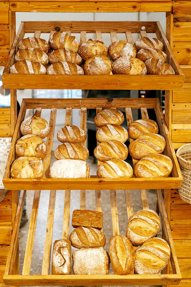 Various freshly baked tasty loaves of breads with crunchy crust placed on wooden shelves for display in bakery store