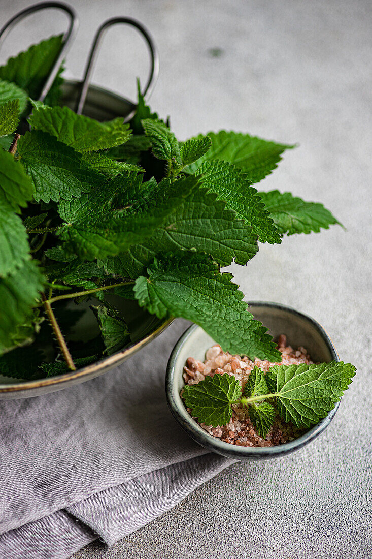 A vegan cooking concept showcasing fresh nettle leaves in a metal colander, alongside a bowl of Himalayan pink salt and oil on a gray background