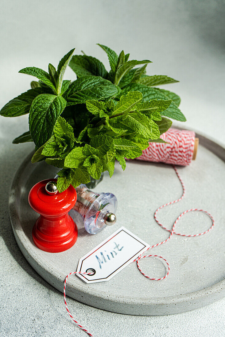 Fresh organic mint leaves ready for cooking on the kitchen table