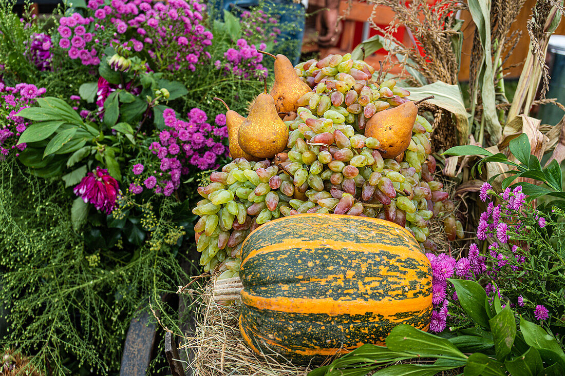 A colorful array of fruits, including pears and grapes, alongside a patterned pumpkin, set amidst lush pink flowers and greenery at a market.