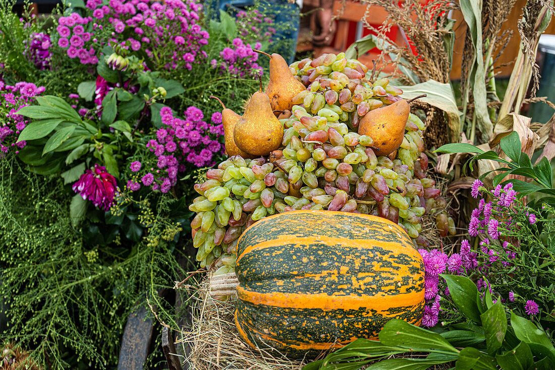 Eine bunte Reihe von Früchten, darunter Birnen und Trauben, neben einem gemusterten Kürbis, inmitten üppiger rosa Blumen und Grünzeug auf einem Markt