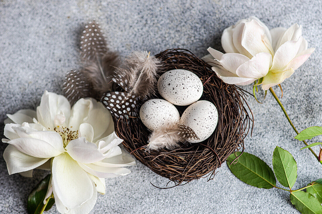 Draufsicht auf Osterkarte Konzept mit Nest voller Eier und weiße Rose Blumen auf Beton Hintergrund