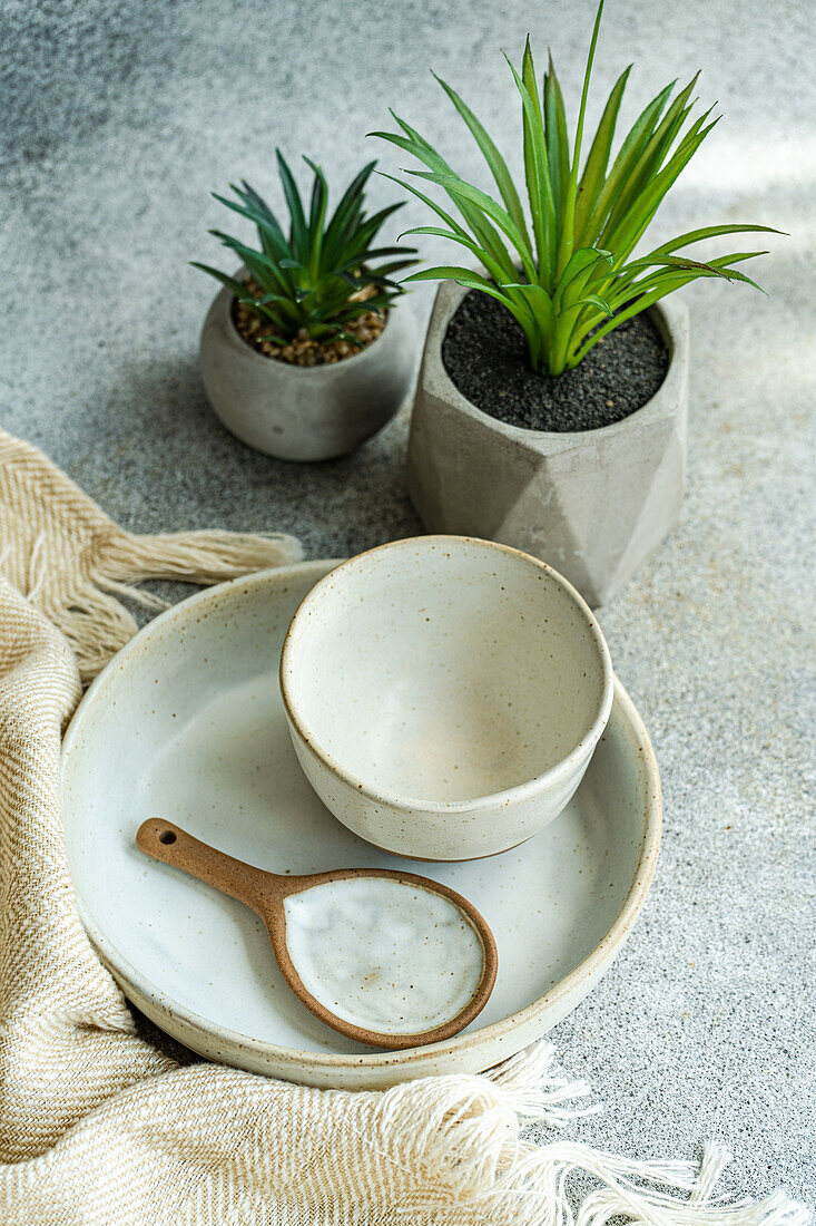 High angle of ceramic tableware set consisting of bowl and plate with wooden spoon placed near napkin and potted plants on gray surface against blurred background