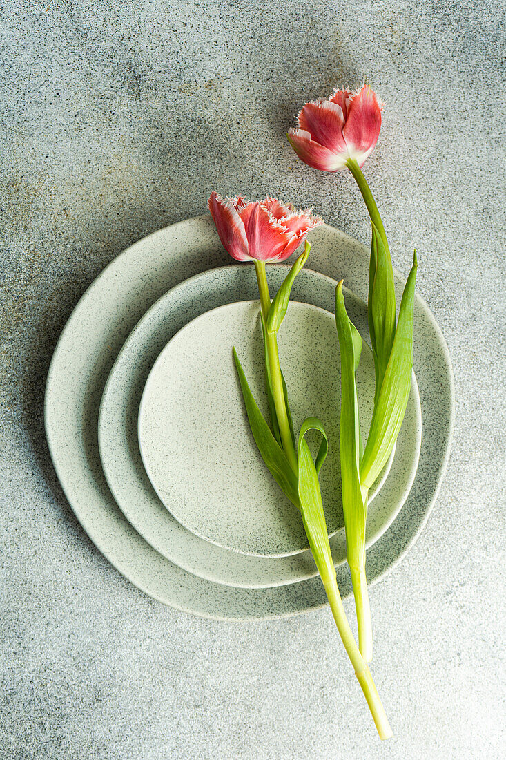 Draufsicht auf einen gedeckten Tisch mit frischen Tulpenblüten auf einem Betonhintergrund