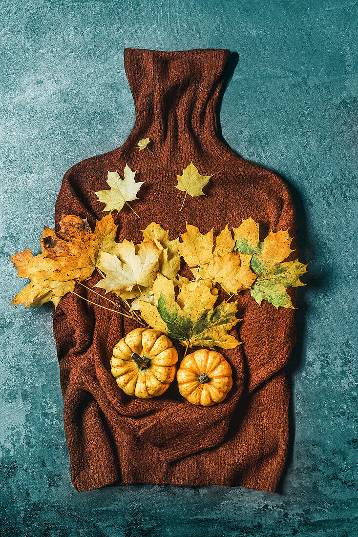 Brown turtleneck sweater holding with various pumpkins and yellow fall leaves at blue concrete background. Autumn concept.Top view.
