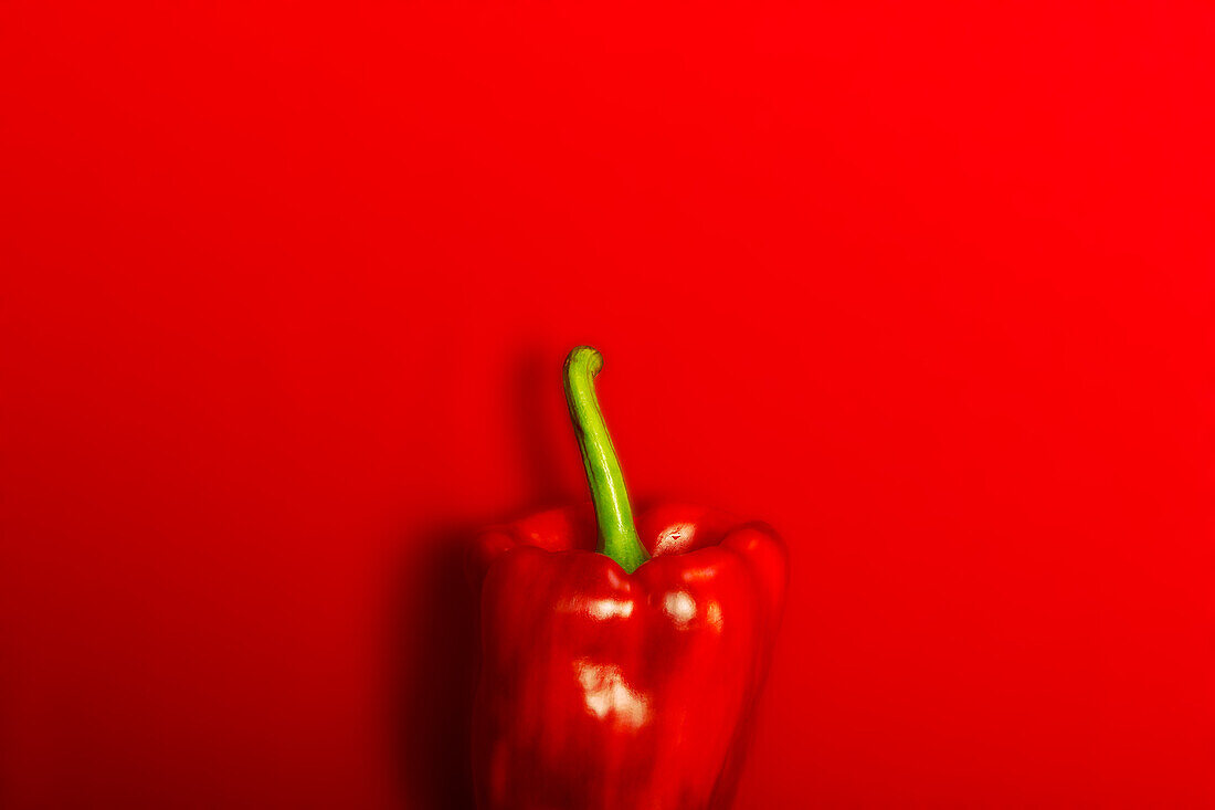 Ansicht von oben auf eine reife rote Paprika auf rotem Hintergrund