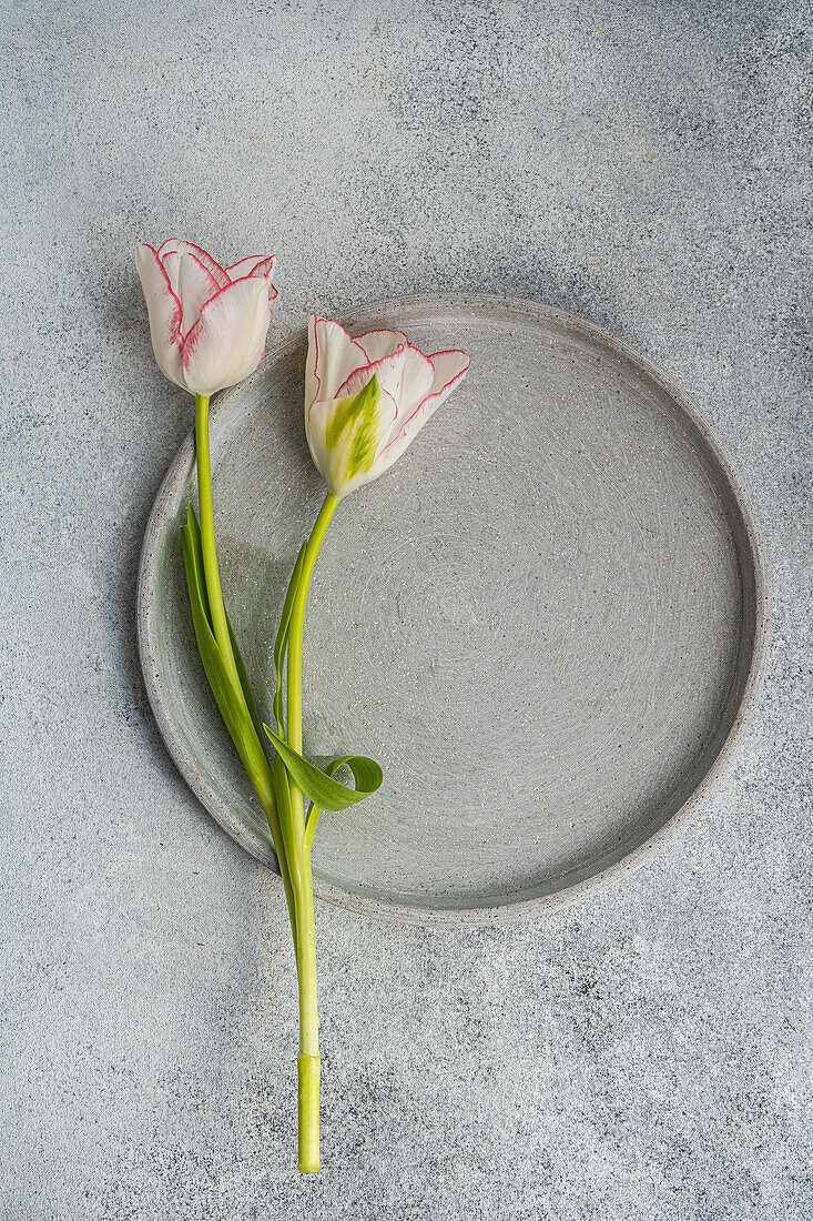 Draufsicht auf einen gedeckten Tisch mit frischen Tulpenblüten auf einem Betonhintergrund