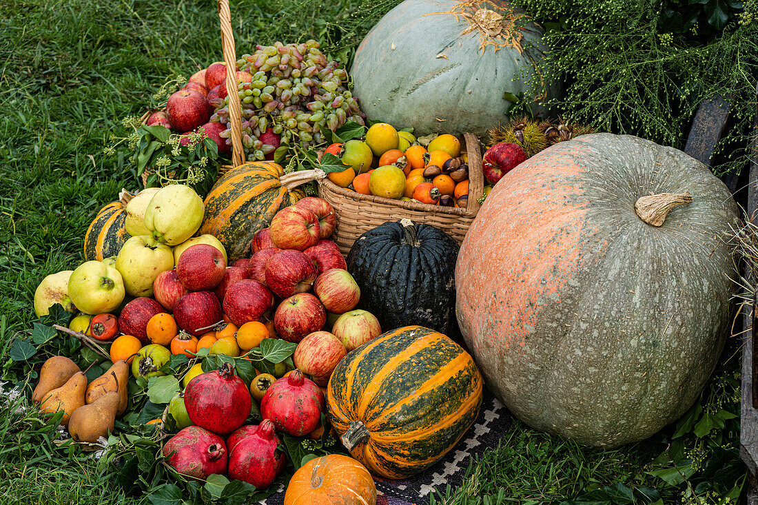 A colorful assortment of fresh fruits and vegetables, including pumpkins, apples, grapes, and pears, displayed on the grass.