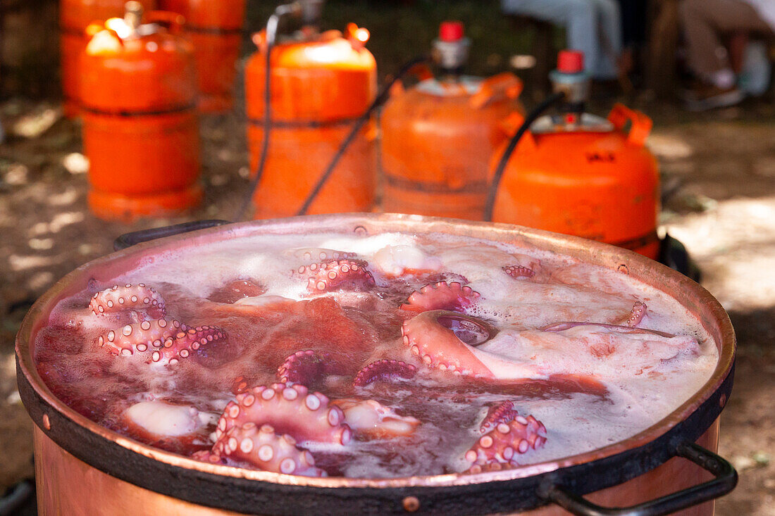 Multiple octopuses simmer in a large, rustic pot with frothy water, with a background of bright orange gas cylinders set up for outdoor cooking