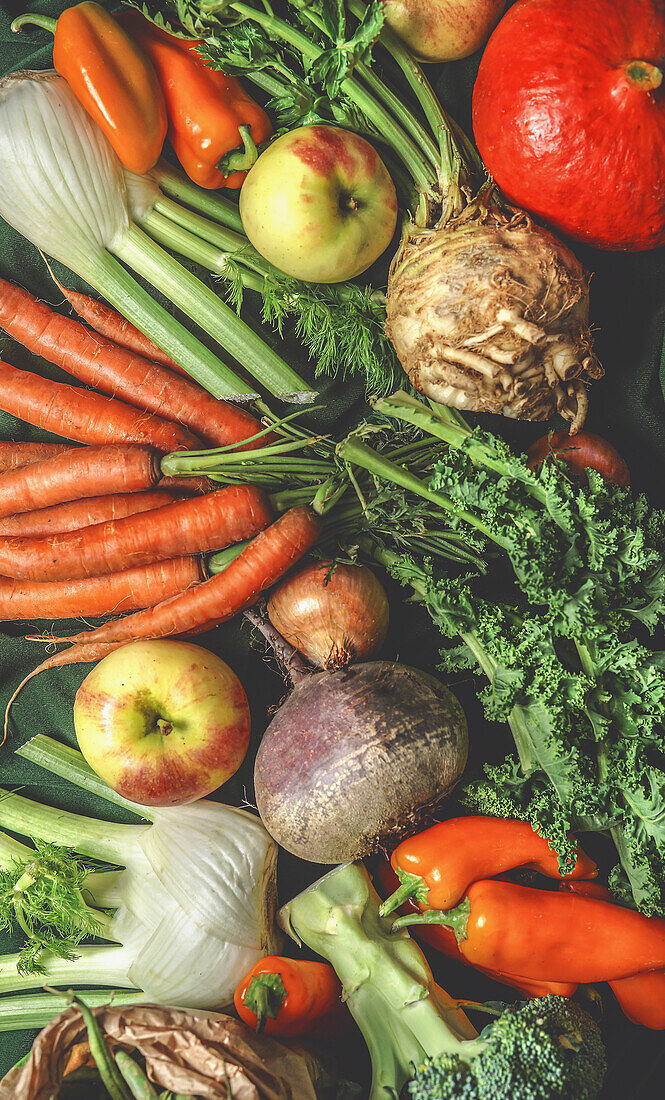 Verschiedene Erntegemüse aus dem Garten: grüne Bohnen, Kürbis, Äpfel, Brokkoli, Karotten, Grünkohl, Fenchel, Paprika. Ansicht von oben