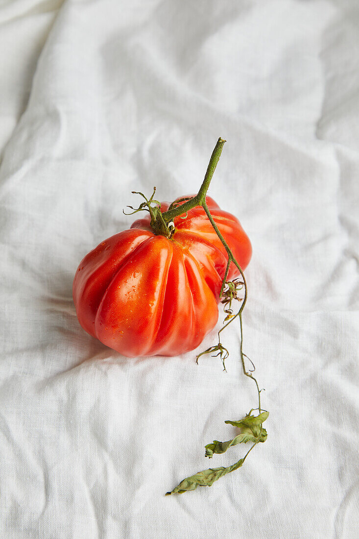 Top view of fresh ripe beef tomato with stem and weathered leaves placed on rough white fabric background