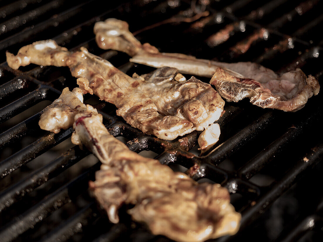 Appetitliches Grillfleisch mit Knochen auf dem Rost eines Holzkohlegrills während eines Picknicks von oben