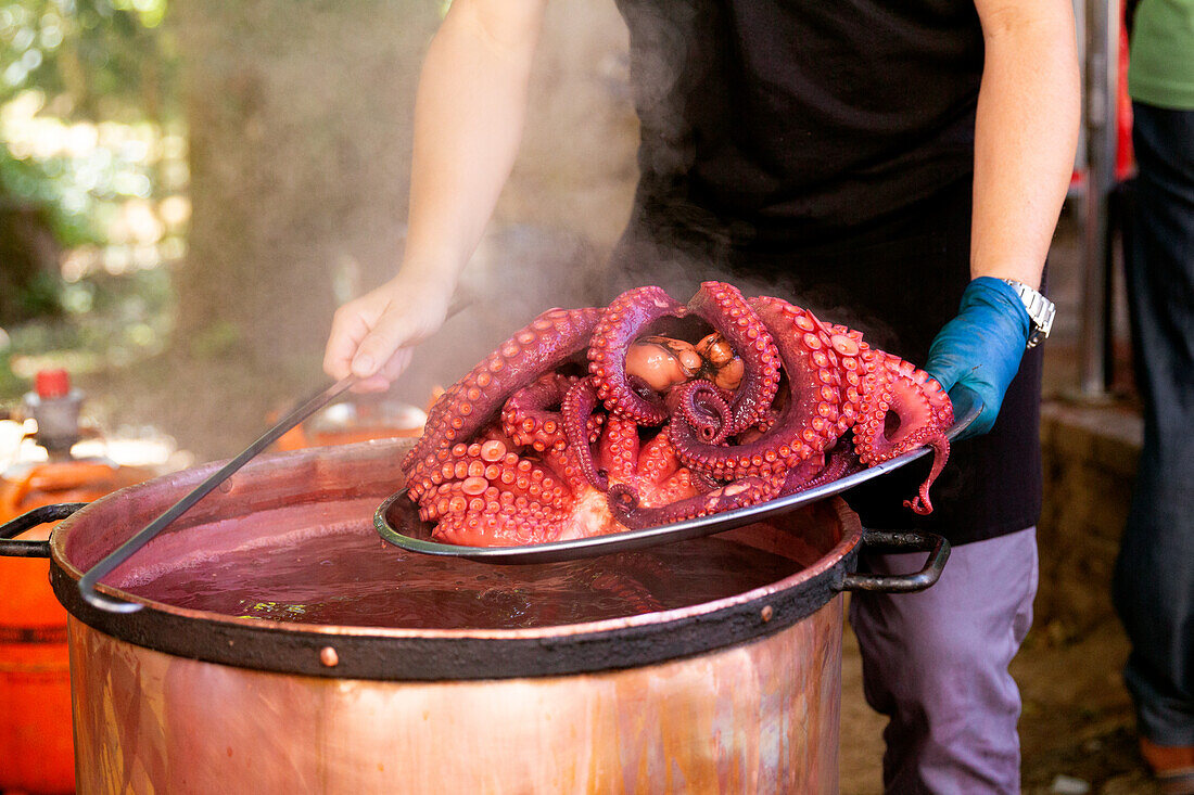 Ein anonymer Koch im Freien hebt fachmännisch einen frisch gekochten Oktopus aus einem großen Kupfertopf im Tageslicht