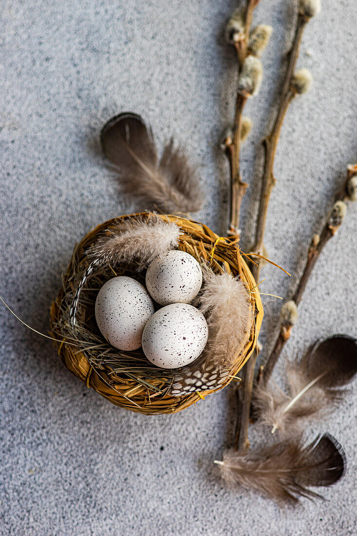 Flatlay zum Thema Ostern von oben mit einem Nest mit gesprenkelten Eiern, umgeben von weichen Federn und Weidenzweigen auf einem strukturierten Hintergrund