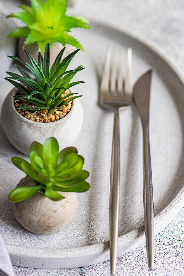 Hoher Winkel eines minimalistisch gedeckten Tisches mit kleinen Topfpflanzen auf einem Teller mit Besteck vor einem unscharfen Hintergrund