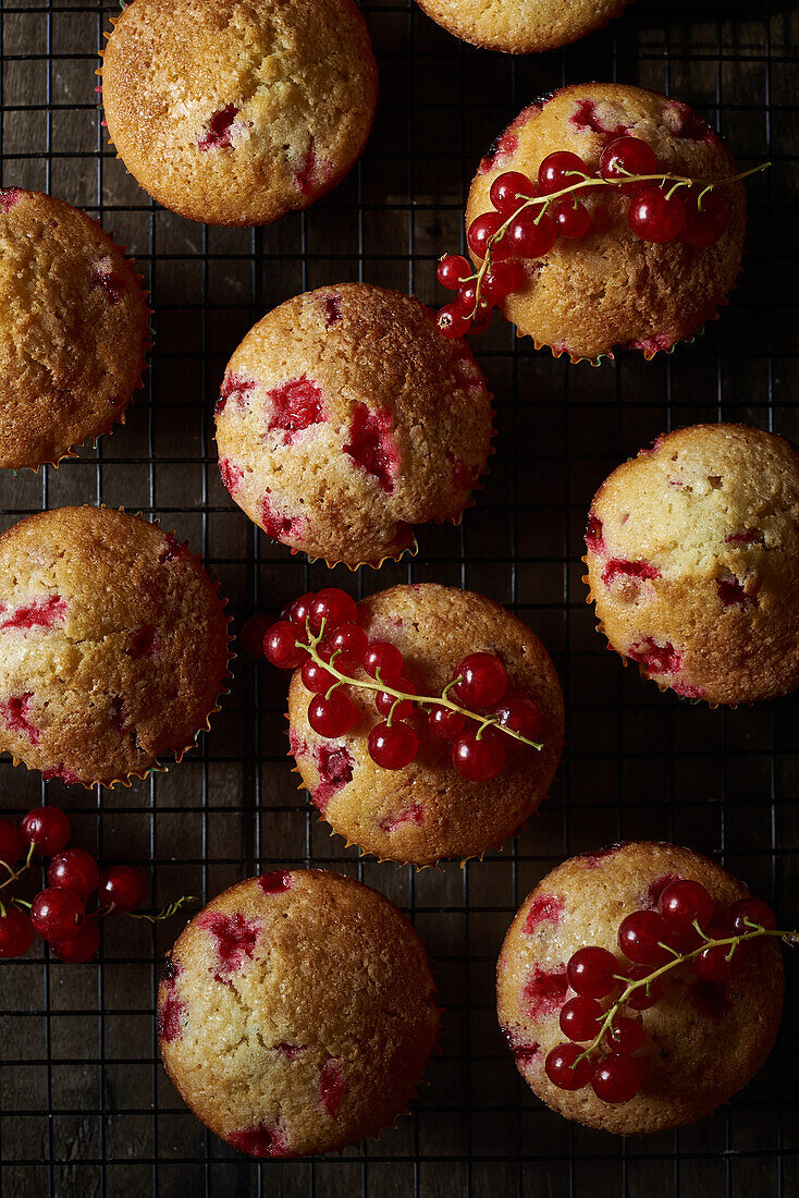 Freshly baked red currant muffins on a cooling rack, shot from above