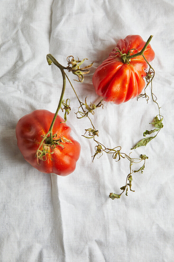 Top view of fresh ripe beef tomatoes with stem and weathered leaves placed on rough white fabric background