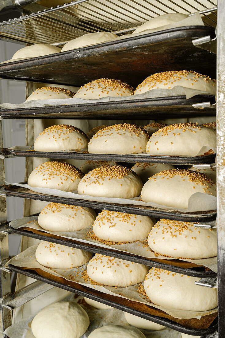 Uncooked round shaped bread dough with cereal seeds on top on trays with baking paper