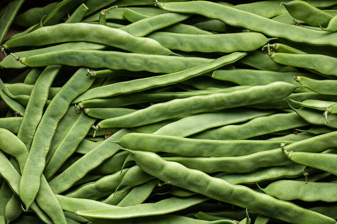 Vollbildansicht von oben eines Haufens frischer grüner Stangenbohnen, die aneinandergereiht sind