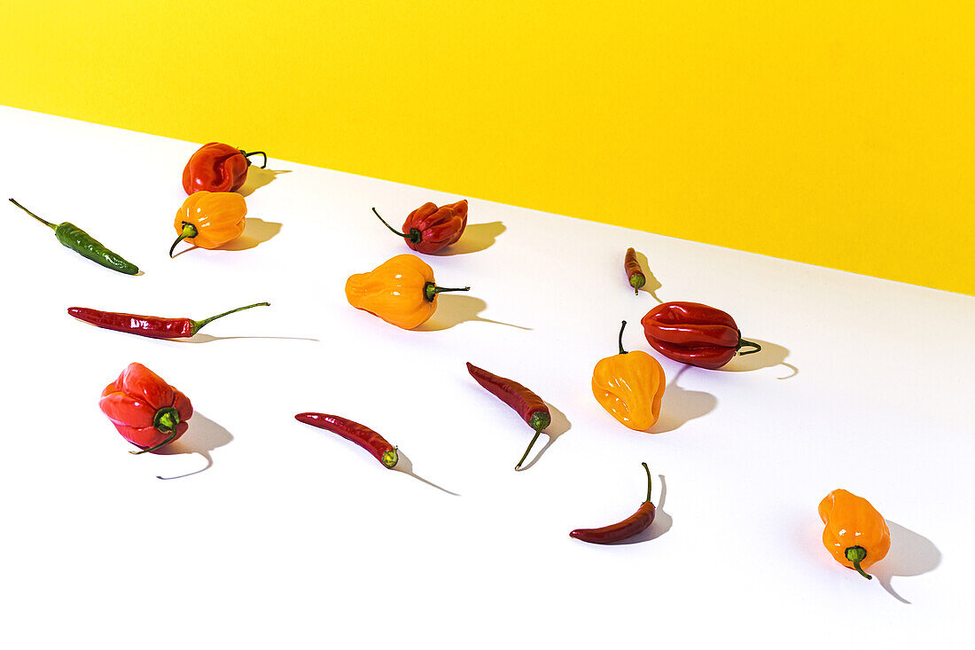 Hoher Blickwinkel auf verschiedene Arten frischer reifer Paprika, die in Reihen angeordnet sind und Schatten auf einen zweifarbigen Hintergrund werfen