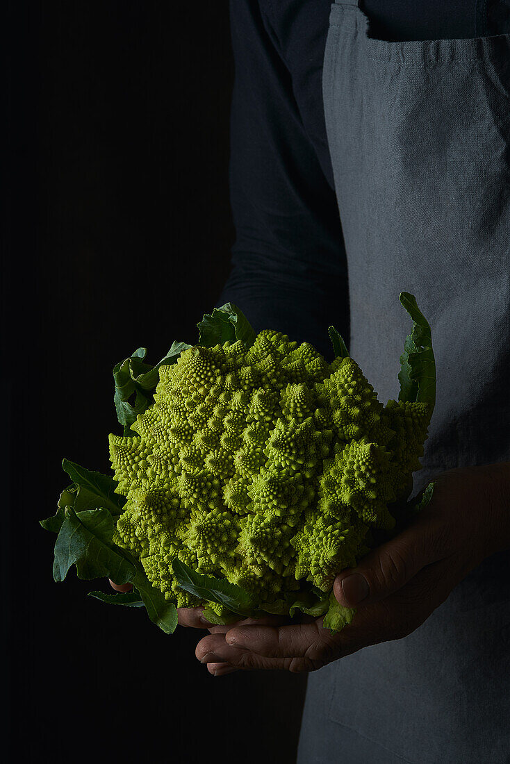 Crop cook hands on apron holding bright juicy fractal Romanesco cauliflower with green leaves on dark background