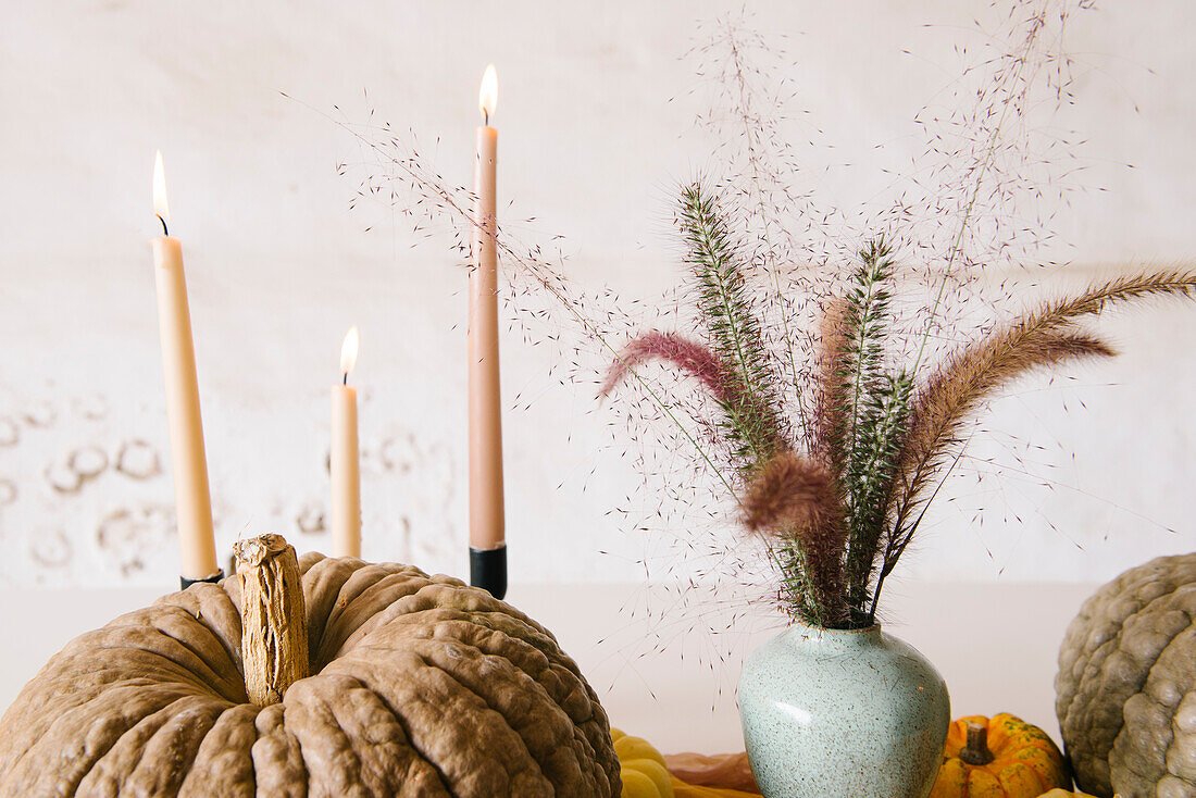 Kreative Tischdekoration mit verschiedenen Kürbissen, die mit brennenden Kerzen und Vasen mit trockenen Pflanzen zu einem Halloween-Dinner zusammengestellt wurden