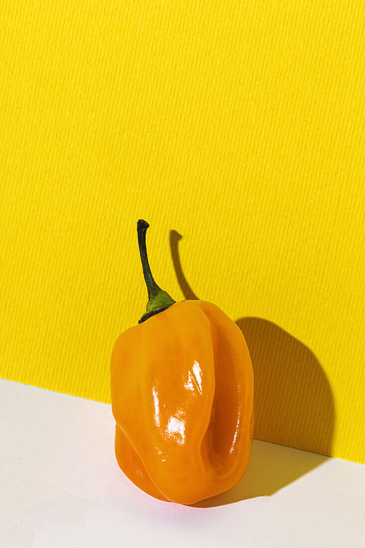 Ganze frische Paprika mit grünem Stiel auf weißem Tisch vor gelber Wand in lebhaftem Studio