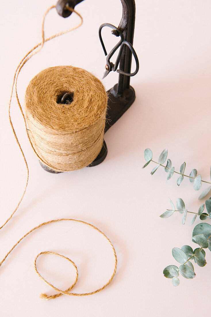 From above spool of jute twine with scissors on metal holder laced on white table near fresh green Eucalyptus leaves in light studio