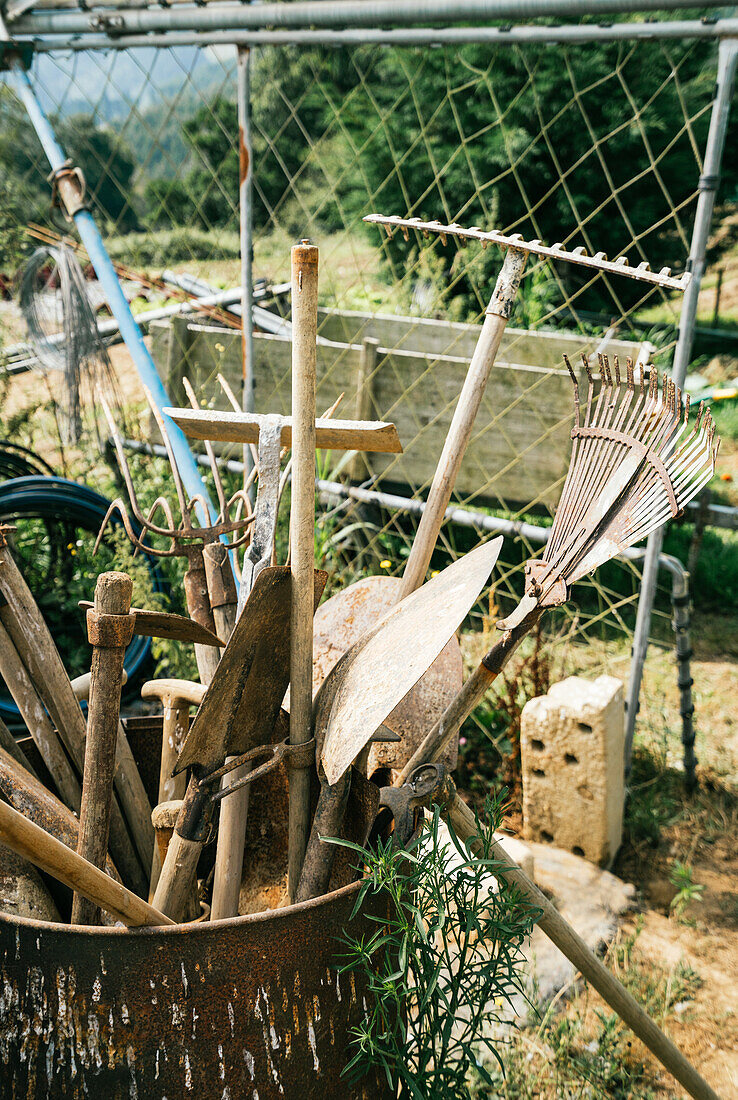 Assorted manual farm instruments on dry land against green trees on sunny day in summer