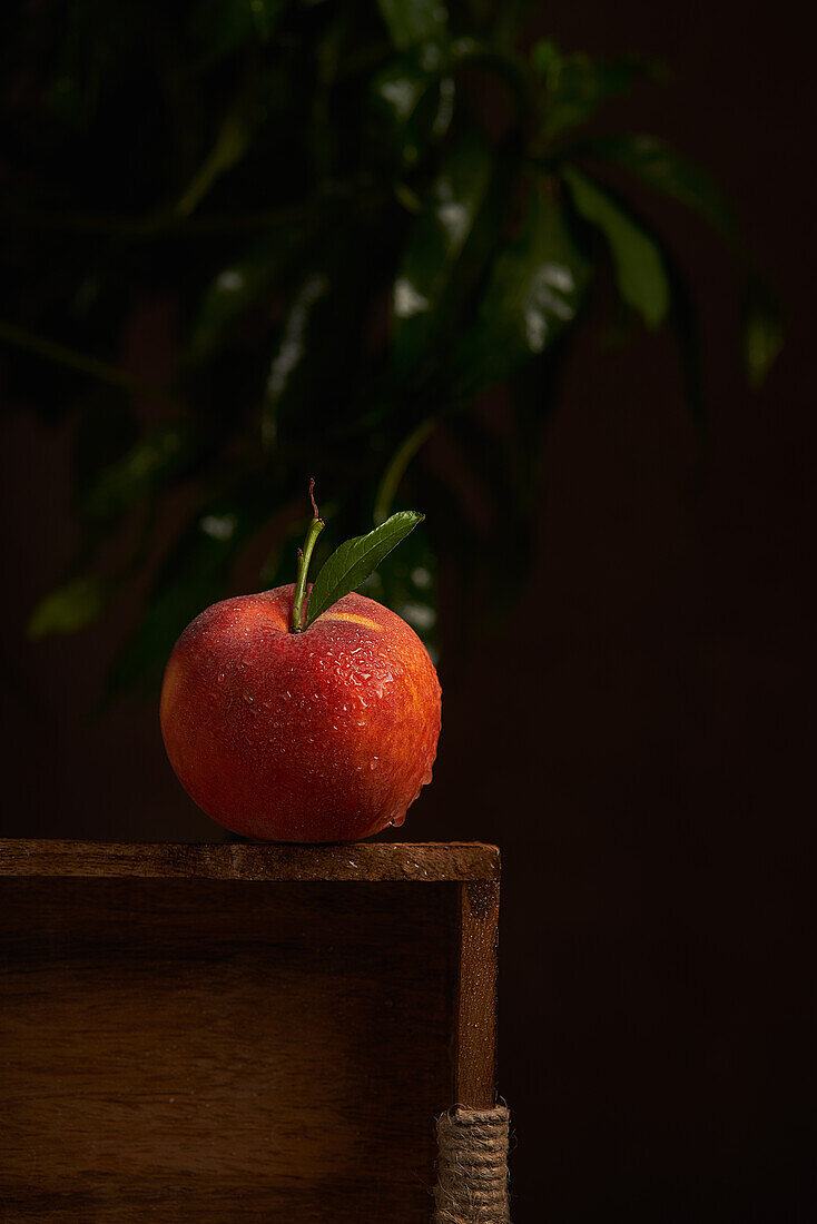 Stilleben mit ganzem frischen reifen nassen saftigen Pfirsich auf Holztisch vor dunklem Hintergrund