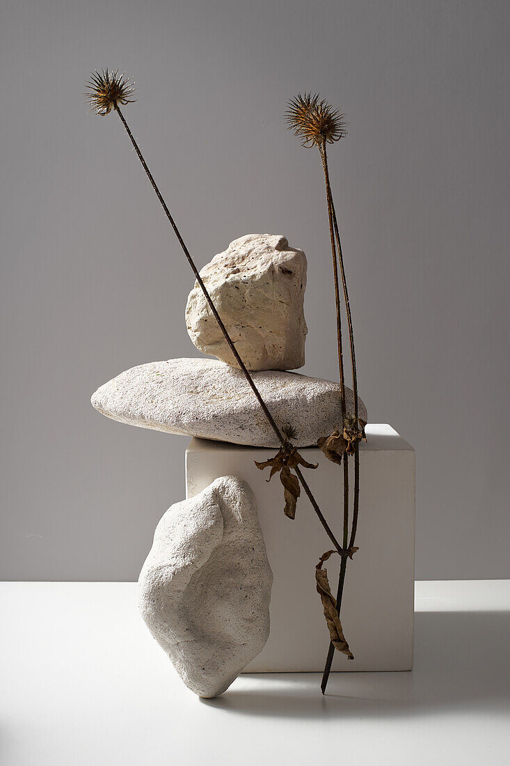 Kreative Steine mit verschiedenen Formen und Oberflächen und getrocknete Blumen auf weißem Würfel auf dem Tisch vor weißem Hintergrund in modernem Licht Studio platziert