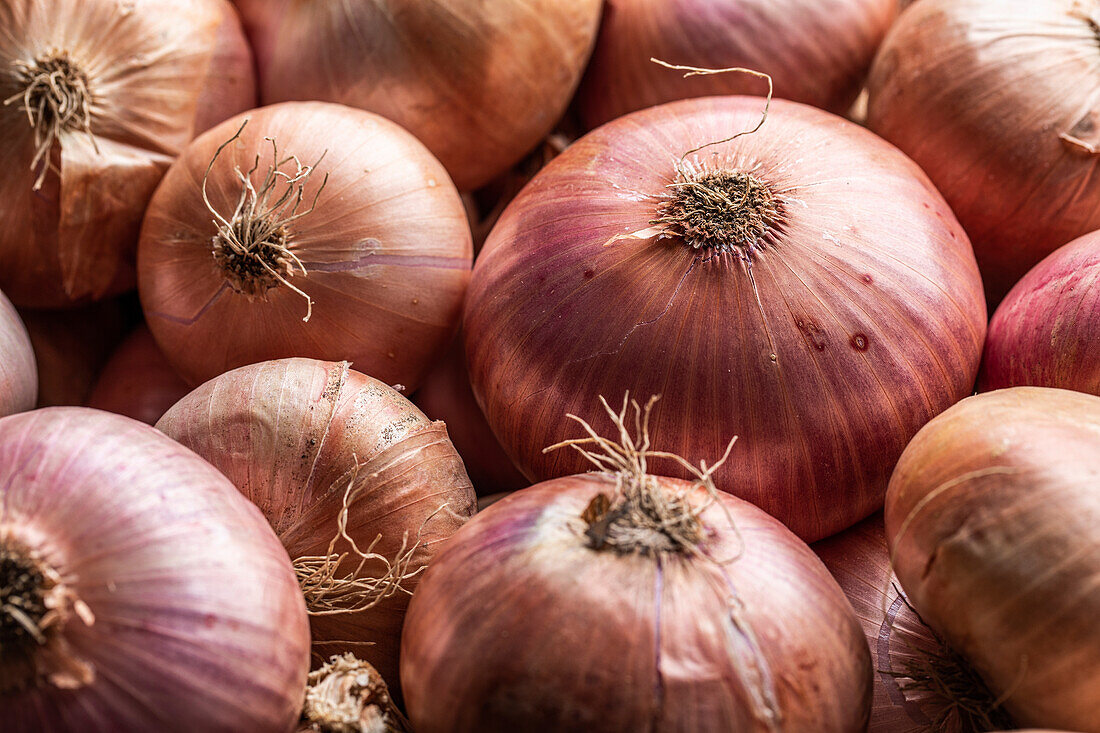 Full frame background of various colorful fresh onions placed together in local market